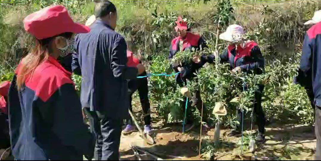 泓源力量助力脫貧攻堅—— 學好果園管理技能 鋪好脫貧致富之路(圖3) 泓源力量助力脫貧攻堅—— 學好果園管理技能 鋪好脫貧致富之路(圖3)